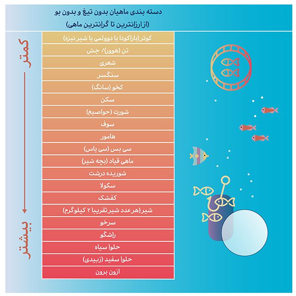 از ارزانترین تا گرانترین ماهی بدون استخوان