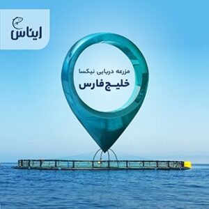 جیوه در مزارع دریایی