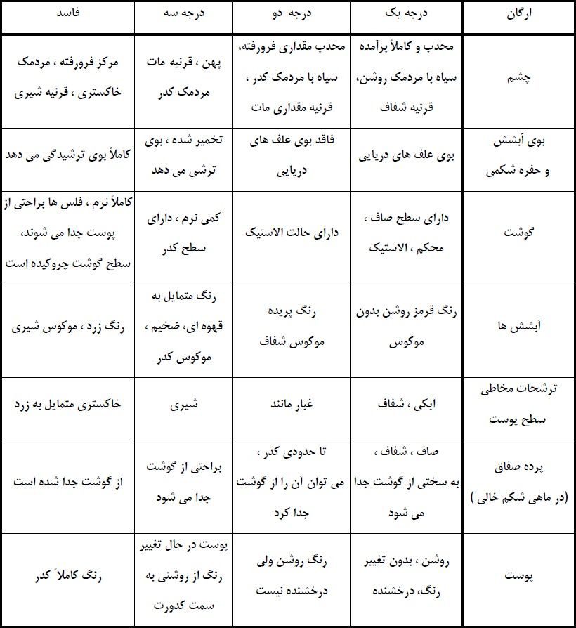 سالم ترین و خوشمزه ترین ماهی خلیج فارس