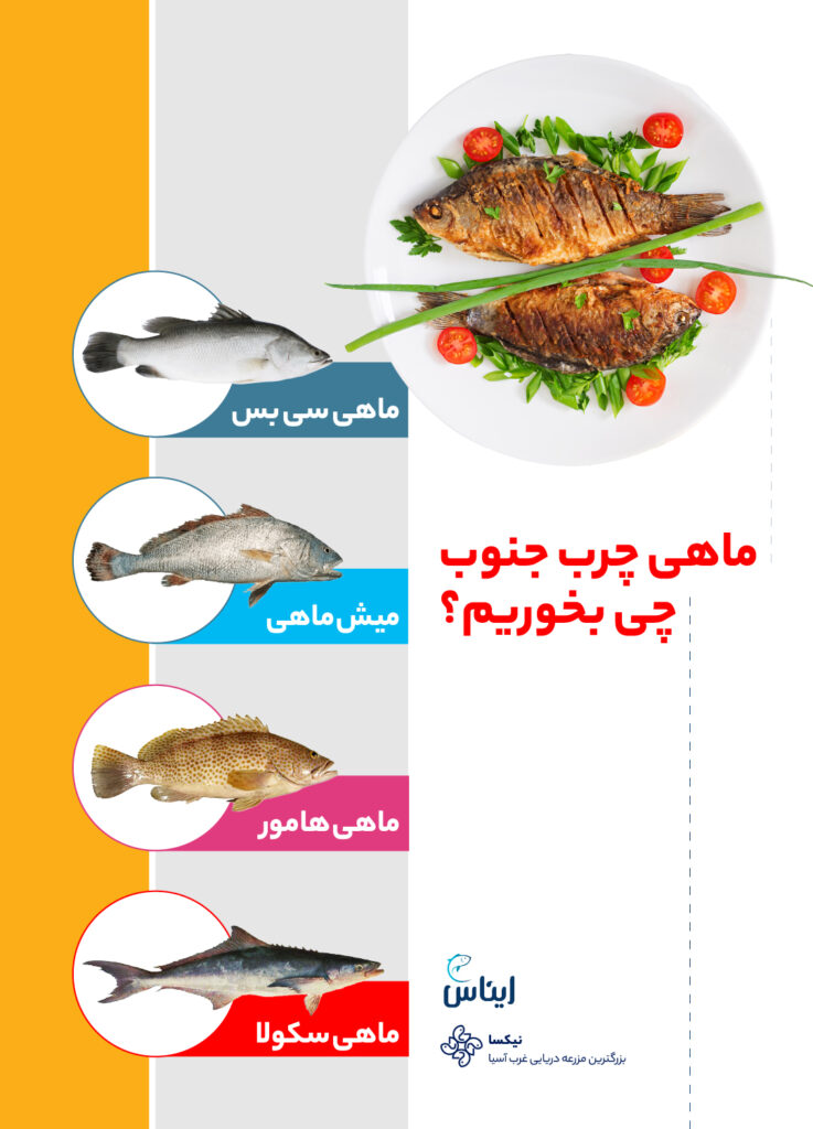 ماهی چرب جنوب چی بخوریم