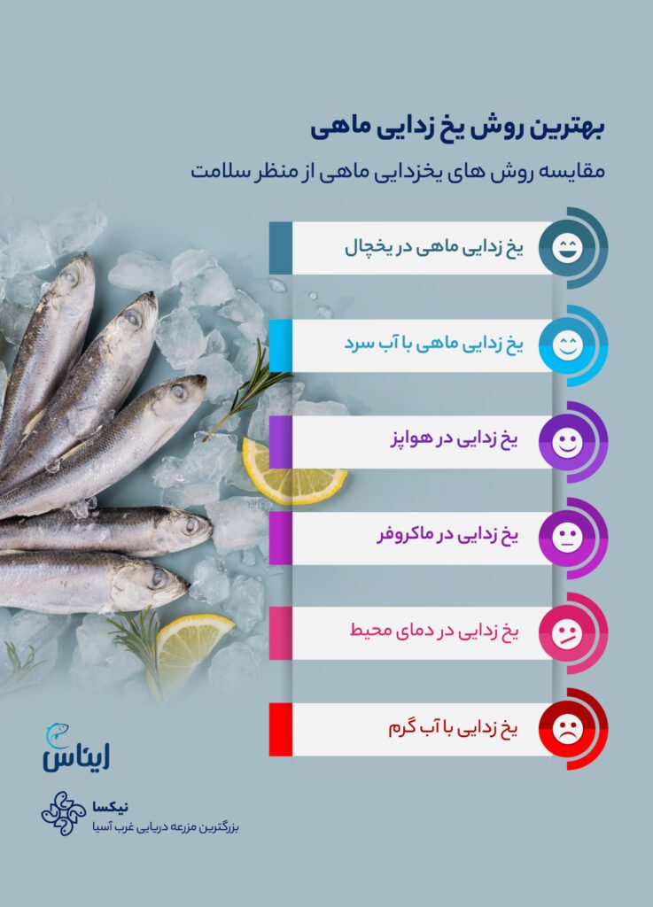 بهترین روش یخ‌زدایی ماهی