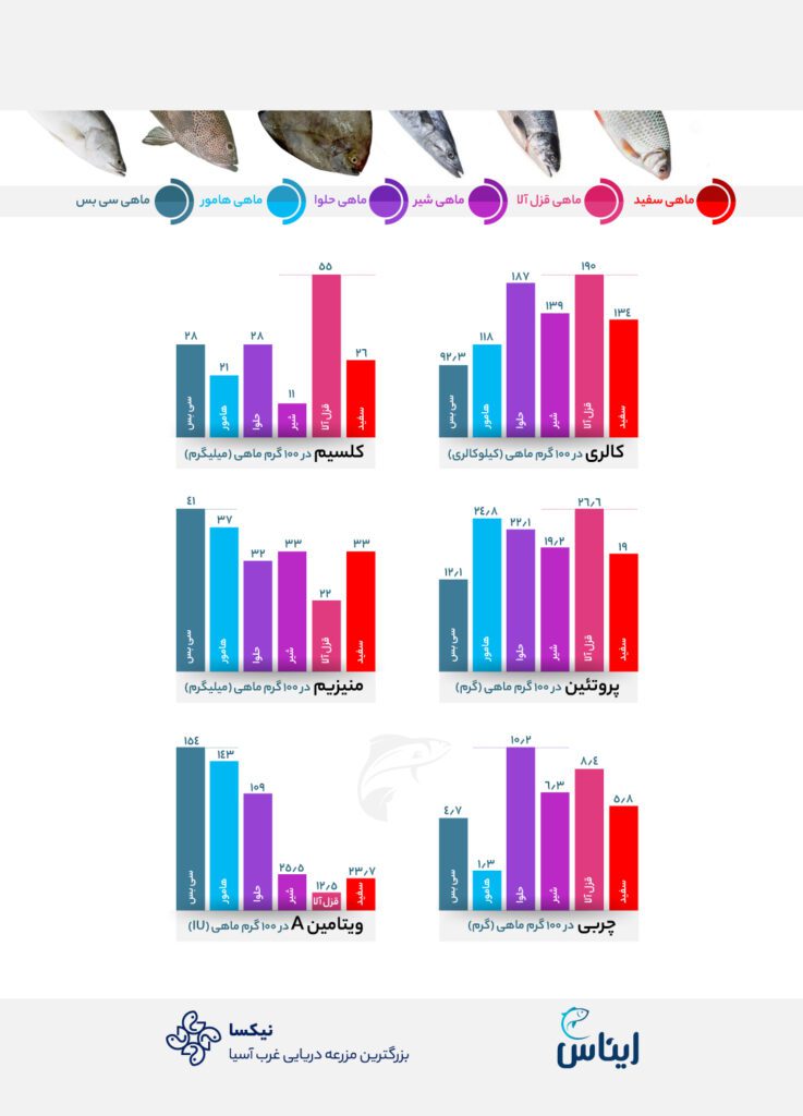 ارزش غذایی کدام ماهی بیشتر است؟
