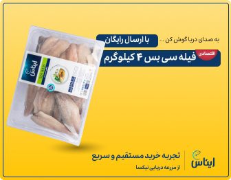 فروش نوروزی سی بس ایناس