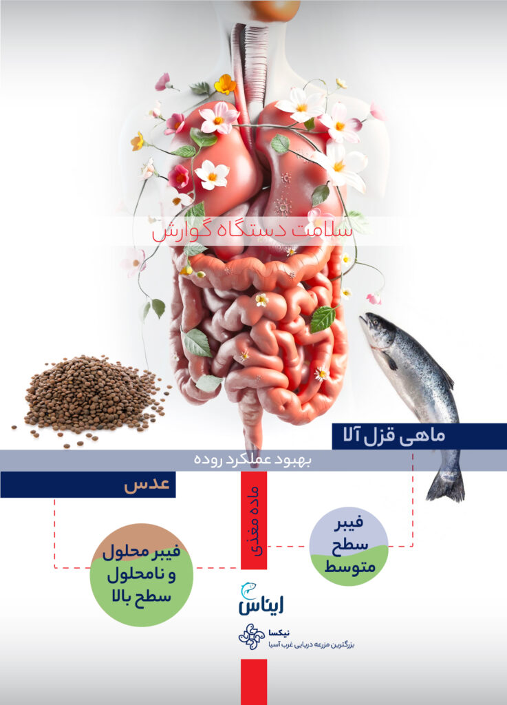 ماهی قزل آلا و عدس