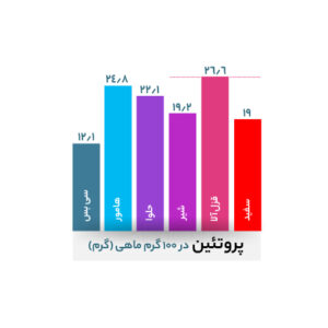 کدام ماهی پروتئین بیشتری دارد؟