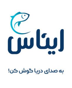 خرید مستقیم از سایت ایناس